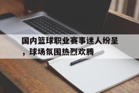 易游体育-国内篮球职业赛事迷人纷呈，球场氛围热烈欢腾的简单介绍