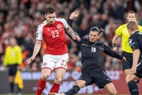 易游体育平台-芬兰欧预赛：德国队被芬兰队逆转，遭遇失利