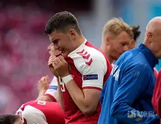 关于芬兰主场大胜斯洛文尼亚成功晋级的信息