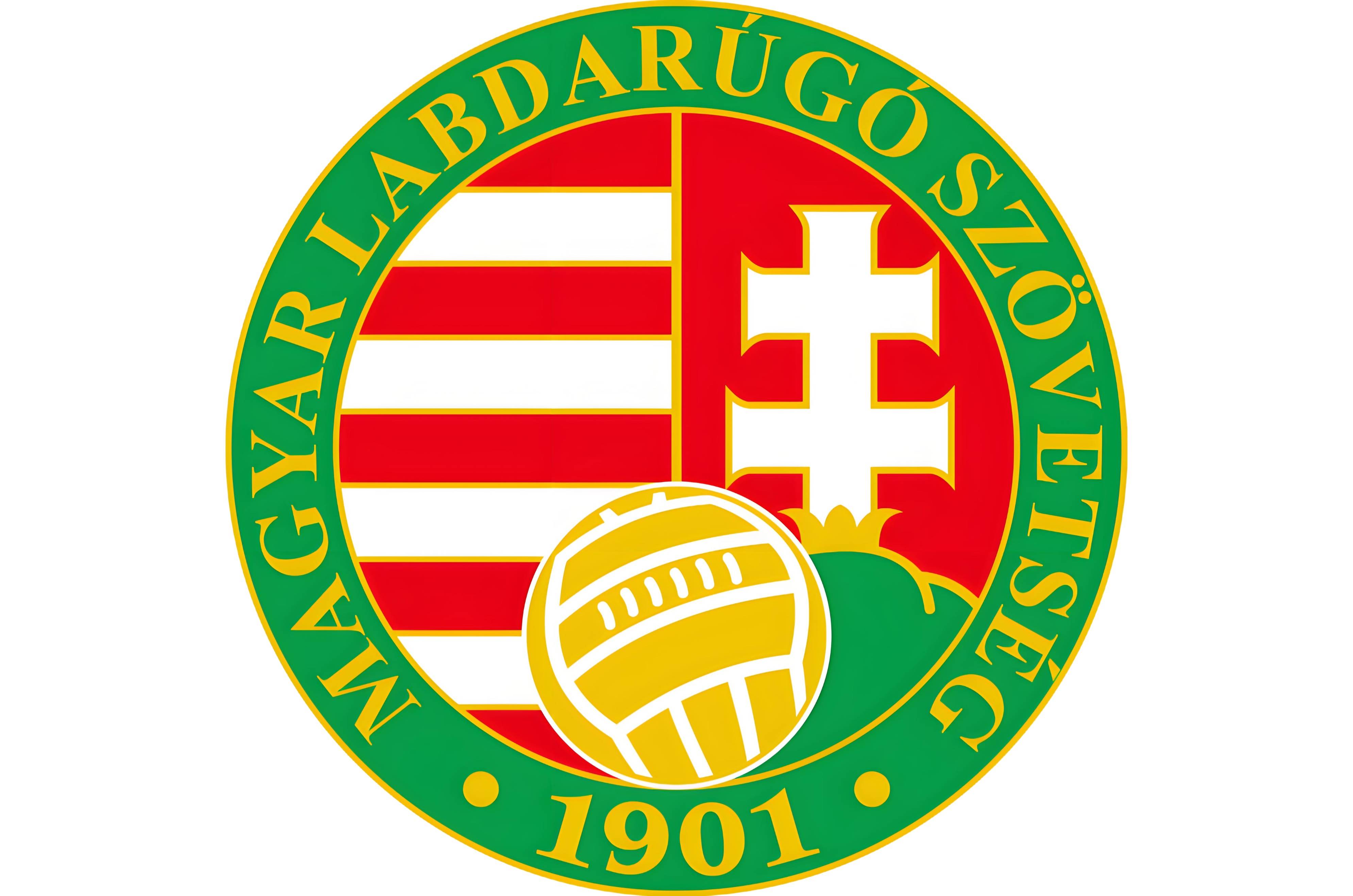 匈牙利队意外淘汰俄罗斯，创造欧预赛历史！的简单介绍